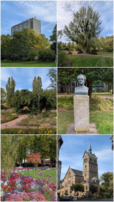 Kassel Kassel